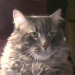 Meet your Posher, Ian